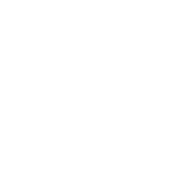 Зодия Близнаци
