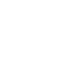 Зодия Лъв
